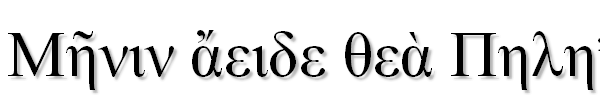 Times New Roman